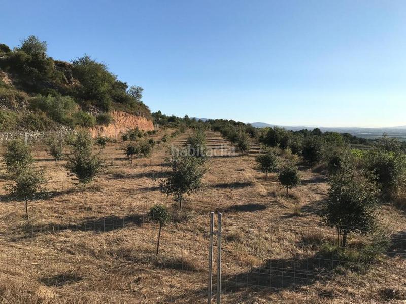 Foto d8623b56-041b-4ffa-8afa-ad2ea63c1f12. Propriété dans Albinyana