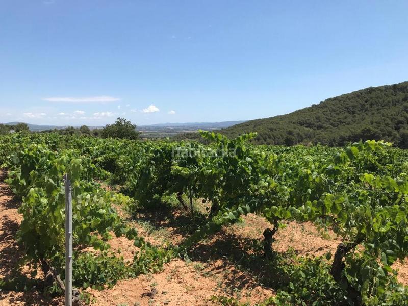 Foto e0004fb3-1856-4831-b875-00abd92e5704. Propriété dans Albinyana