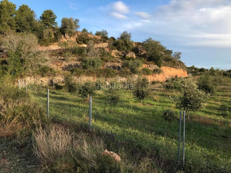 Foto e2128387-46fd-46e8-af51-0deca3e2c837. Propriété dans Albinyana