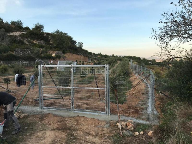 Foto ee3d81b5-7440-4b77-b5a3-a4f2d0142017. Propriété dans Albinyana