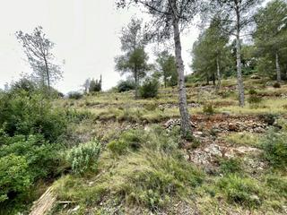 Terreny residencial a Bisbal del Penedès (La). Terreno en el priorat de la bisbal