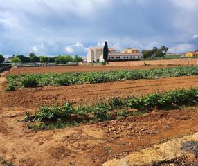 Residential Plot in Centre