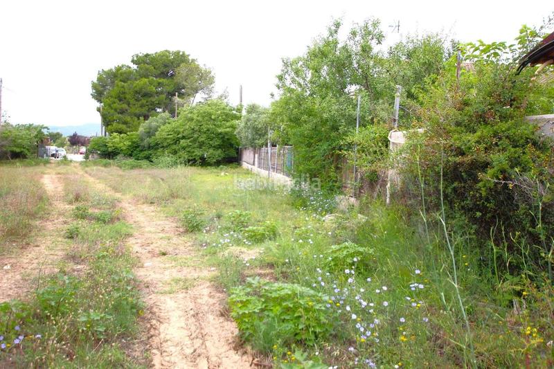 Foto e7f6b606-8e9b-4381-96fc-9f21b5e4abc9. Terreno residenziale in Santa Oliva