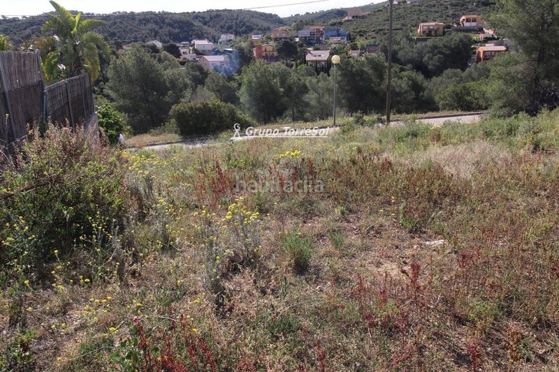 Foto 66eb1233-a254-43ae-a9bc-8a3e96075a7f. Finca rústica a Bisbal del Penedès (La)