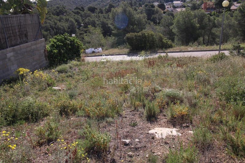 Foto e862d3ed-2444-4040-88ca-d1816334f987. Finca rústica a Bisbal del Penedès (La)
