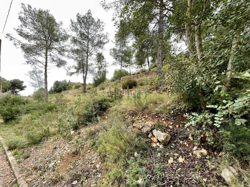 Foto 15c82653-19a2-40d4-b3b7-c6a49d944235. Finca rústica a Bisbal del Penedès (La)