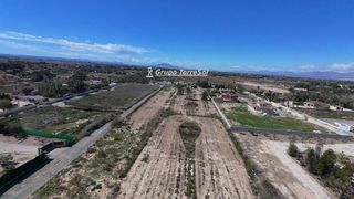 Fondo rustico in La Foia - Daimés - Asprella. En elcheelx