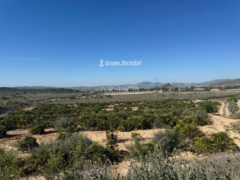 Foto 159c56fc-22bc-46f9-bab2-b71452fde906. Finca rústica a Monforte del Cid