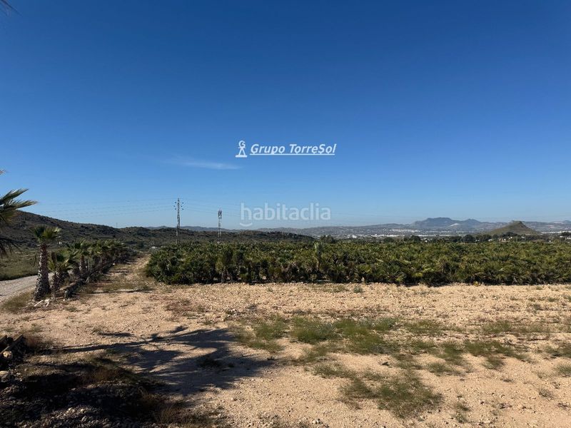 Foto 1a80b537-8d8e-4e22-bf98-574c6a1d9a08. Finca rústica a Monforte del Cid