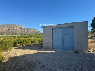 Rural plot  2. En monforte del cid