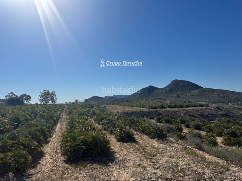 Foto b0759ea8-0d9f-428b-aebf-fa1ac228dc34. Finca rústica a Monforte del Cid