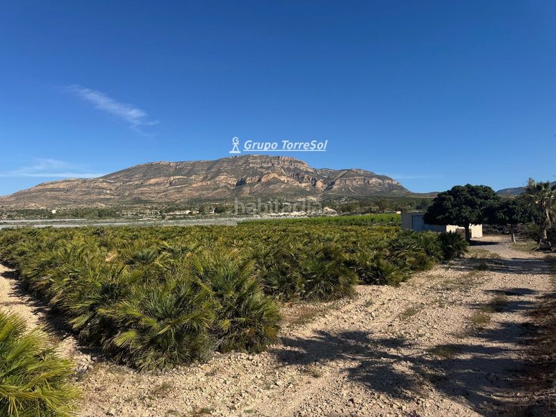 Foto b6f18d49-0de7-4442-af8a-e91d03014cb7. Finca rústica a Monforte del Cid