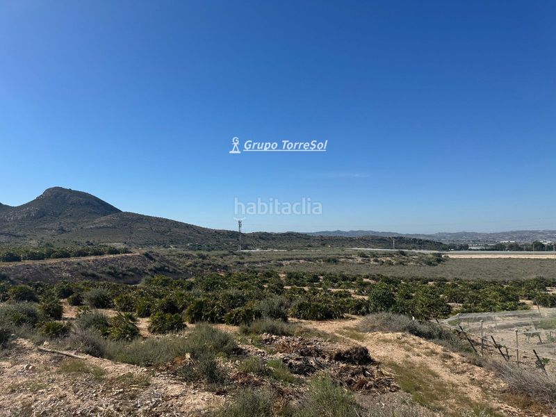 Foto e7a56a4d-2c6b-454b-a0eb-1351b6fd43c6. Finca rústica a Monforte del Cid