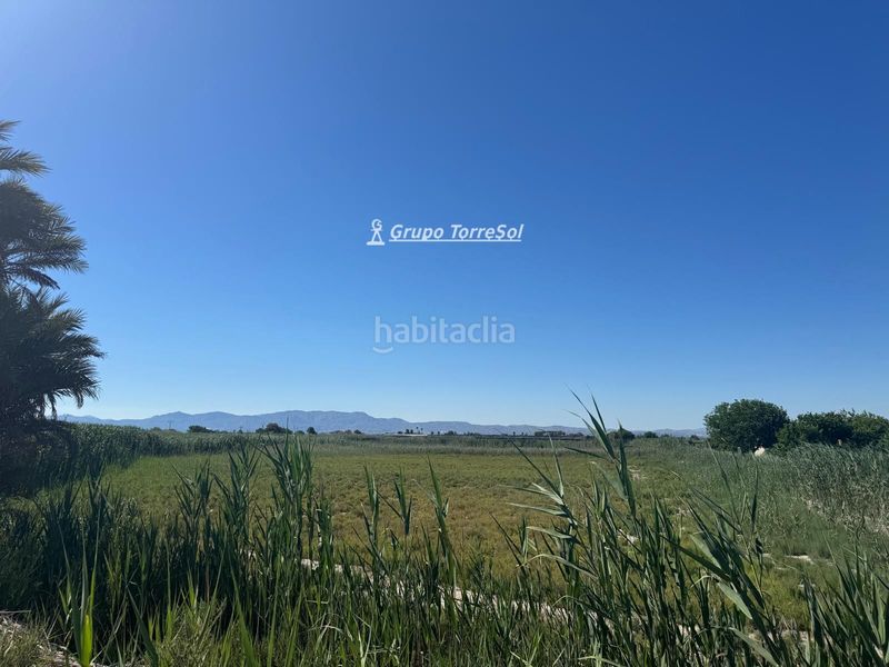 Foto c7b01c2c-4e98-497e-9df0-27fcd6d7a0e3. Finca rústica a La Marina Elche / Elx