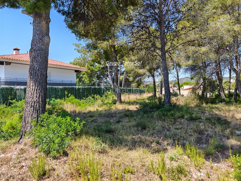 Foto a8e8675d-f12c-4387-967c-043e7571bae1. Finca rústica a Cunit residencial Cunit