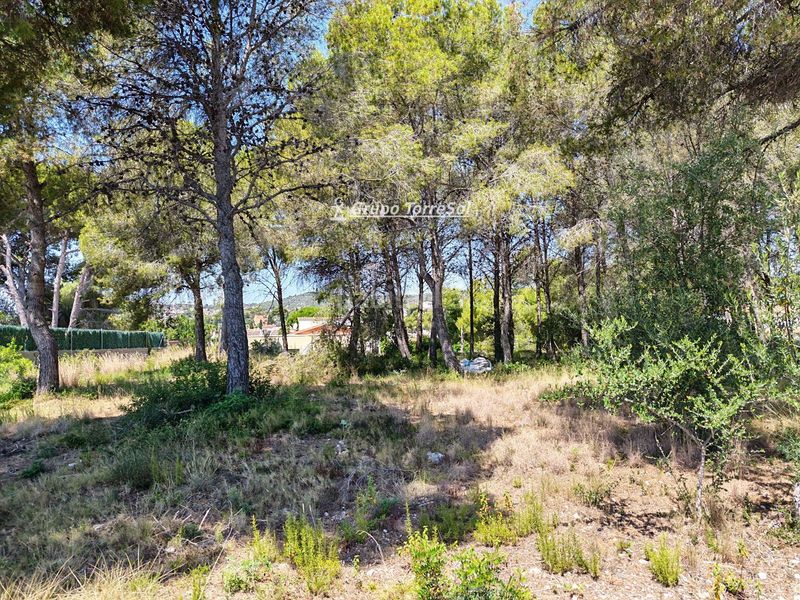 Foto eefe6896-6e71-481b-a922-35a397ce3552. Finca rústica a Cunit residencial Cunit