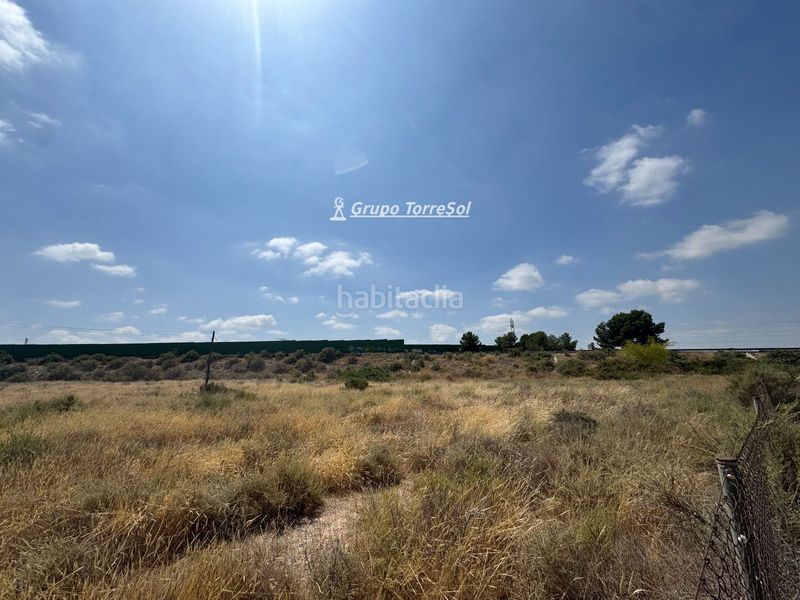 Foto b036b309-5be0-46ef-a081-fb9bf45d18e7. Finca rústica a La Algoda - Matola - Llano de San José Elche / Elx