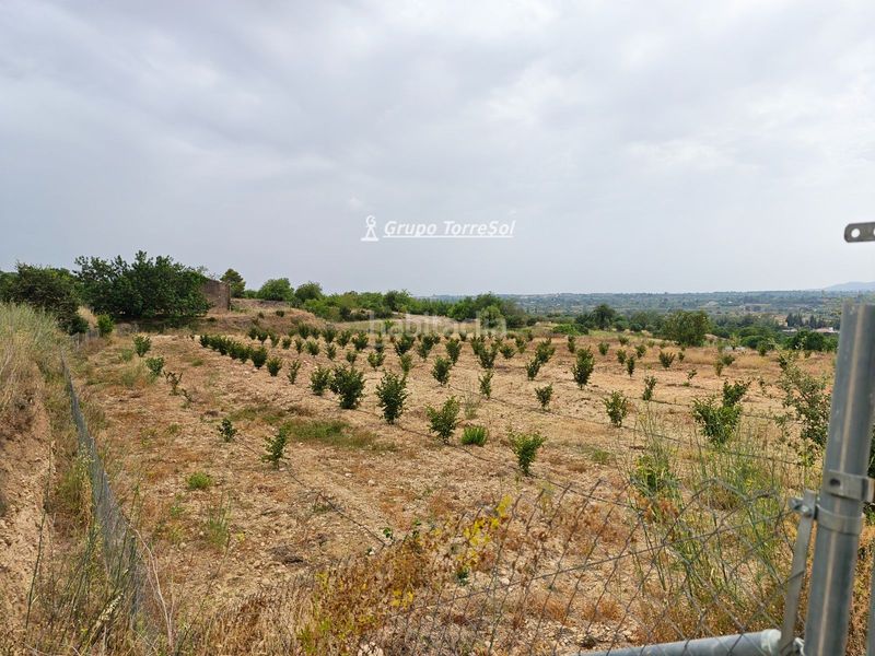 Foto 36ee5866-af0e-4900-991f-811d1798981d. Xalet amb aparcament a Valls