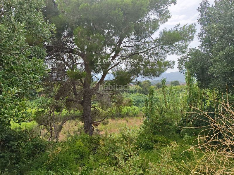 Foto 6410d243-6947-4e85-aa63-31cad82e2ef3. Xalet amb aparcament a Valls