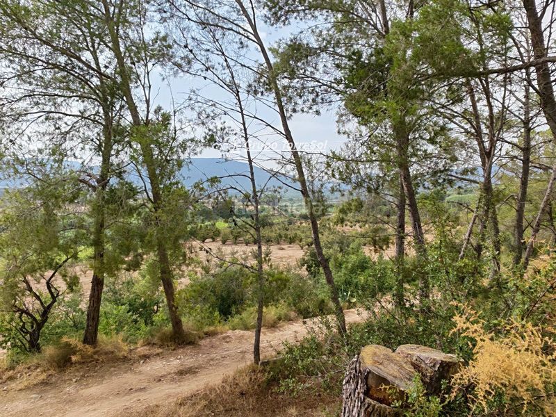 Foto 82db8699-98c2-4852-ad43-53ef51689edc. Xalet amb aparcament a Valls