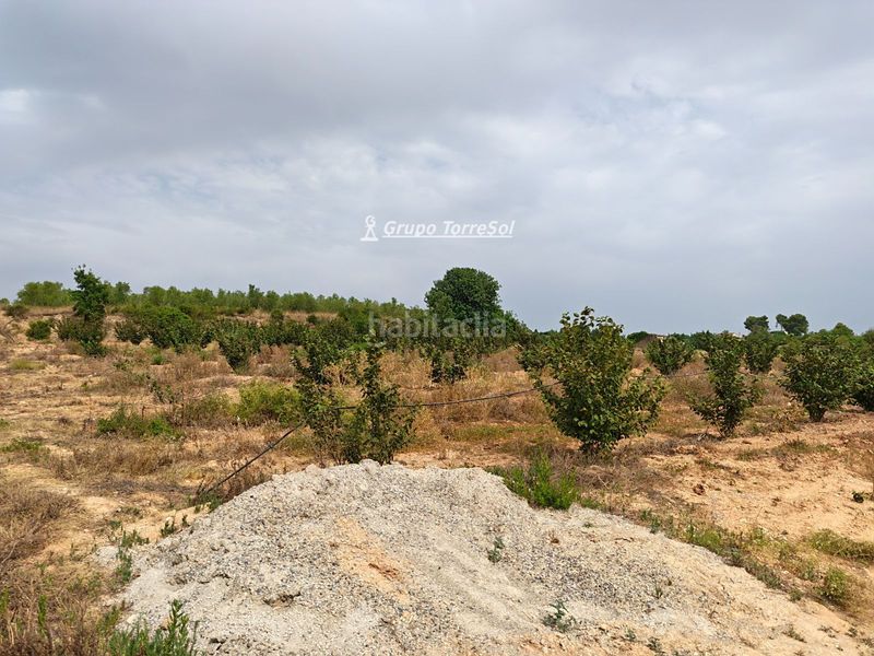 Foto 94e64b86-f19c-44be-a06f-68014268fe55. Xalet amb aparcament a Valls