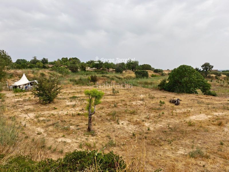 Foto 9bfc6910-58b0-4ef0-8833-21dadc3ccc35. Xalet amb aparcament a Valls