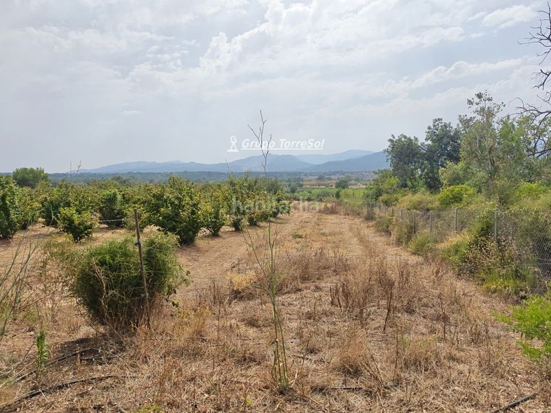 Foto c7e17d38-8fe4-48b1-9bff-f3438327319d. Xalet amb aparcament a Valls