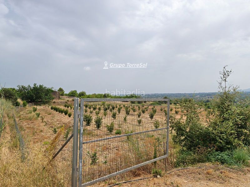 Foto d7d3e40a-9cda-42b0-8d8b-42dcb29221bc. Xalet amb aparcament a Valls