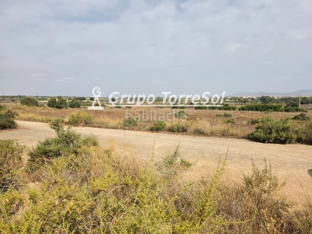 Foto 1b17ac05-6ec3-4223-ae97-ab23fbe84c03. Finca rústica a Los Arenales del Sol Elche / Elx