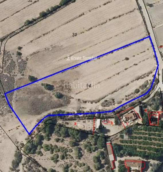 Foto 3db7c33f-9068-4d42-919d-0abbbbddcea3. Finca rústica a Los Arenales del Sol Elche / Elx