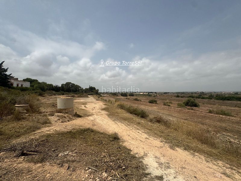 Foto 8ed0e582-c4a0-497a-9716-23792447ce42. Finca rústica a Los Arenales del Sol Elche / Elx