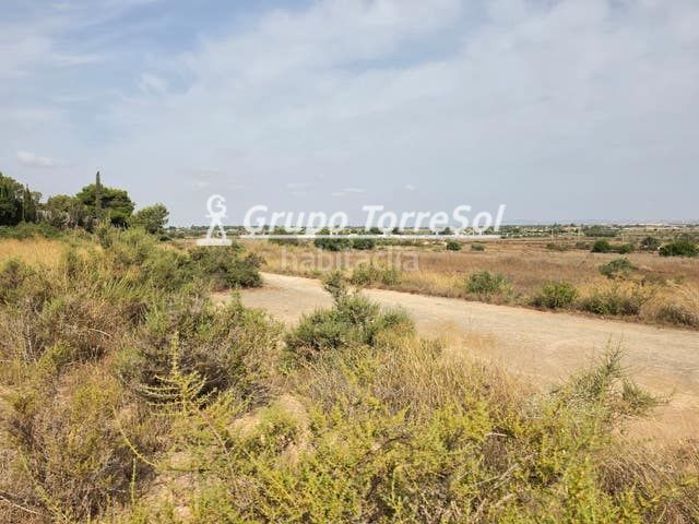 Foto 950bd669-faf9-4cd9-b573-046f0e30a7fd. Finca rústica a Los Arenales del Sol Elche / Elx
