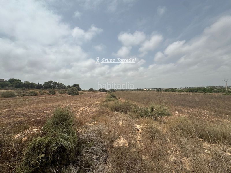Foto a5080a8d-533c-45e9-92cf-9001c5917cbb. Finca rústica a Los Arenales del Sol Elche / Elx
