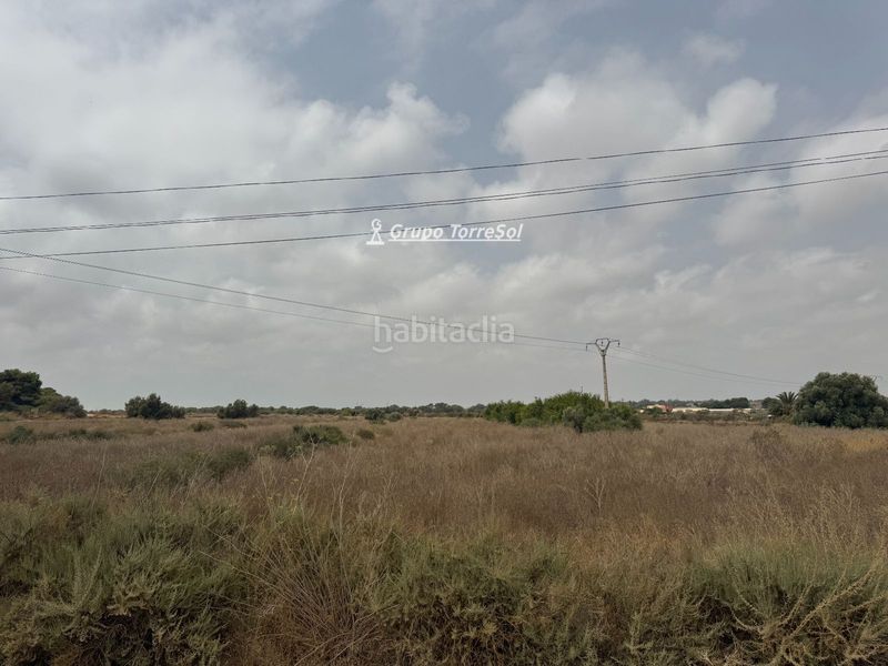 Foto bb316171-ad13-4934-8833-e0dc6913429a. Finca rústica a Los Arenales del Sol Elche / Elx