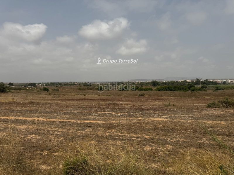 Foto be3ecca6-7317-4aa0-b04b-834101961d1c. Finca rústica a Los Arenales del Sol Elche / Elx