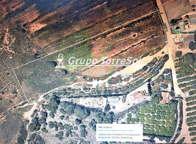 Foto cbffc89b-f903-40a6-9493-e656e418689a. Finca rústica a Los Arenales del Sol Elche / Elx