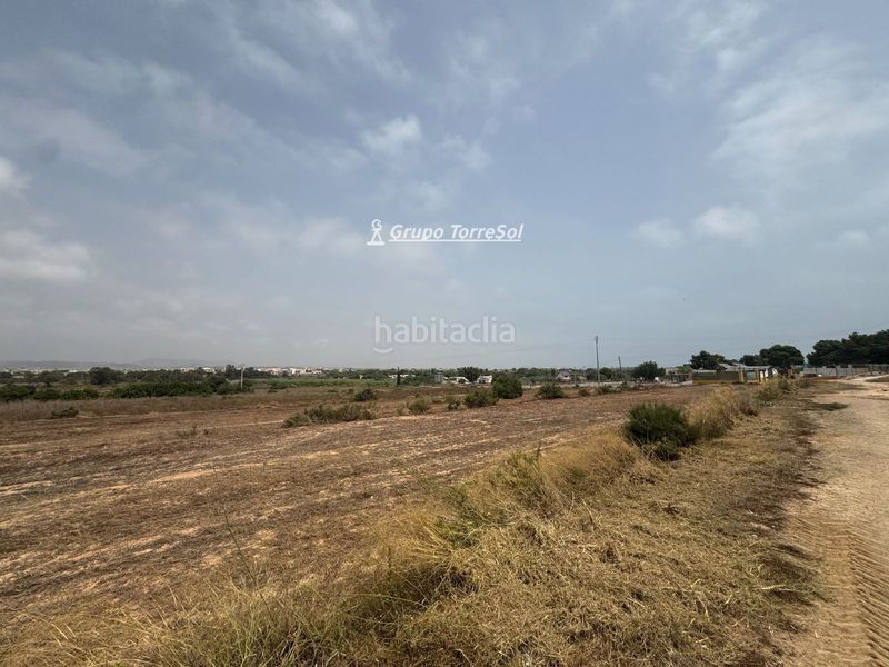 Foto f9bda675-259a-4333-9945-4ae7a9c73615. Finca rústica a Los Arenales del Sol Elche / Elx