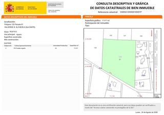 Fondo rustico  Camino de la ermita de san pedro s/n. Gran terreno en venta  17.000 m junto a urbanización