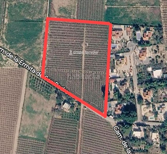 Foto bc3e7fd3-27d6-4e98-8ec4-5dedecfa9648. Finca rústica a Valverde Elche / Elx