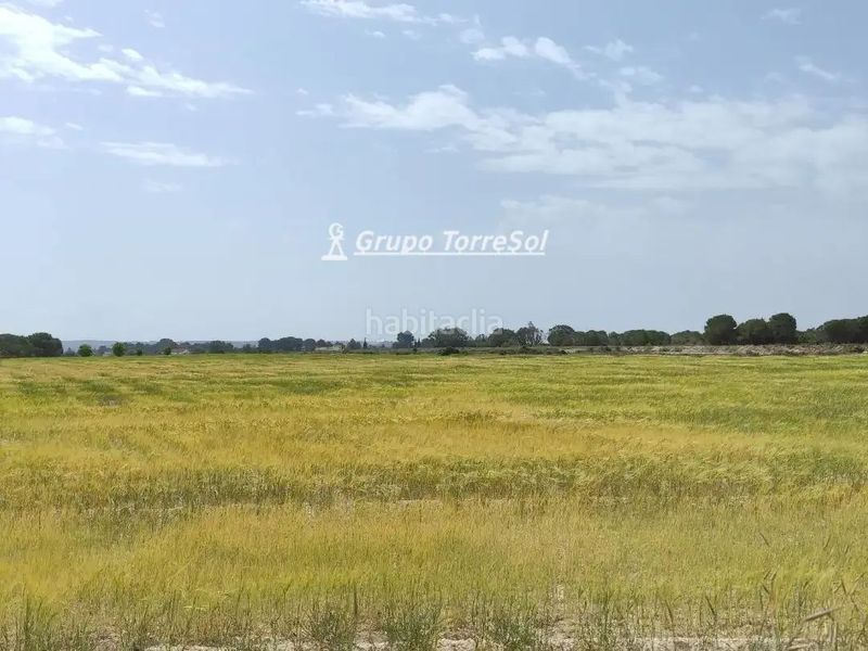 Foto fbafcd5f-253d-4309-adae-c8ffd89a59d7. Finca rústica en elcheelx en Centro Elche / Elx