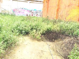 Wohngrundstück in Carrer pintor ribera 12