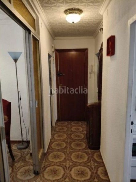 Foto f3475981-ee83-47d5-a9b4-c762d2af24fb. Pis a Benetússer