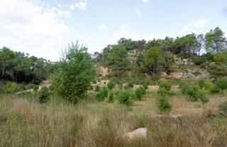 Finca rústica a Pobla de Claramunt (La). Terreny rústic en venda situat a la pobla de claramunt  les garr