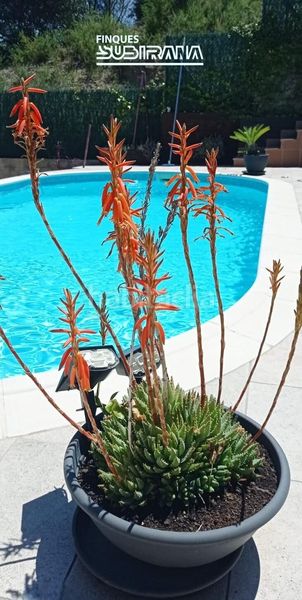 Foto 42d7c9a9-a6d4-43f9-ab80-92a56f33a0d2. Casa amb calefacció aparcament piscina a Masquefa