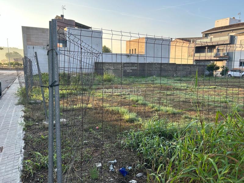 Foto eb6e6d43-81bb-4e99-a61c-aa4de4589d22. Residential plot in calle turia 28 in Albalat dels Tarongers