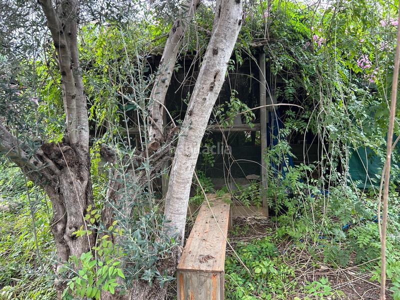 Foto 137af6aa-c2c1-4b36-9a35-73f18a0c45cb. Chalet ref 08612 . salico ofrece chalet en sierra perenchiza en Chiva