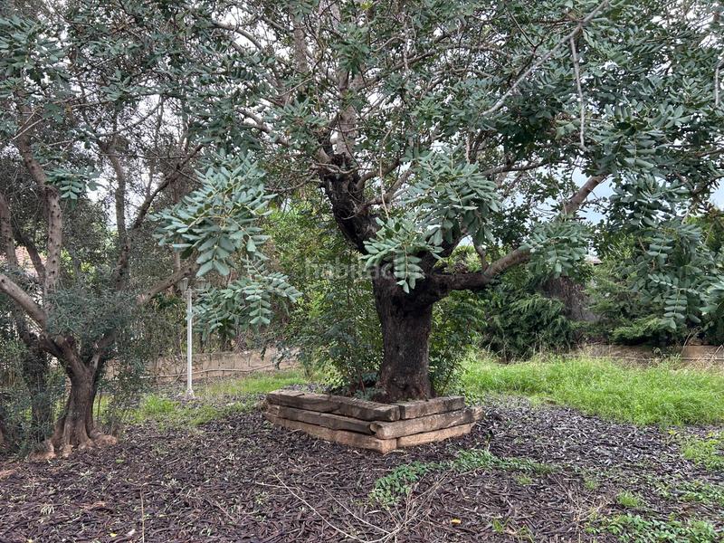 Foto ba5bec2e-e3a8-44db-b06c-9414af55ba3a. Chalet ref 08612 . salico ofrece chalet en sierra perenchiza en Chiva