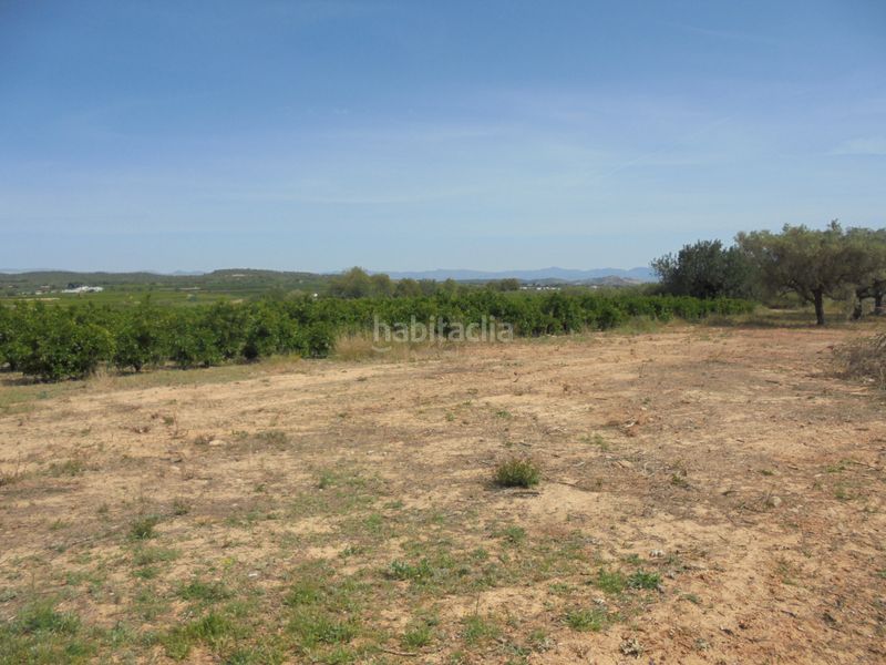 Foto 01549cf0-4645-4e39-b37c-40aed8ee711d. Finca rústica a Vilamarxant