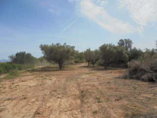 Finca rústica en Vilamarxant. Parcela plana con agua conectada. buenas vistas.