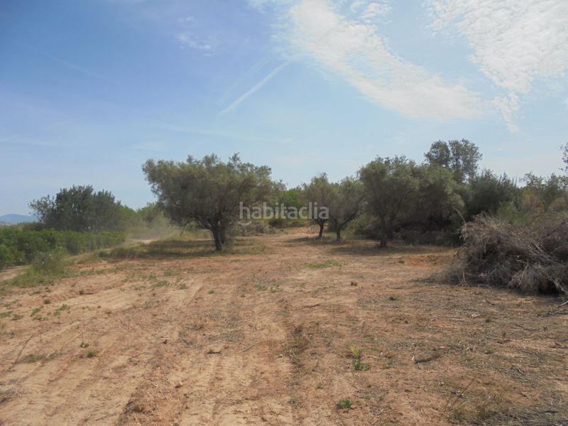 Foto ab9abdb5-0f18-4c2d-ba61-c7391c6c81df. Finca rústica a Vilamarxant